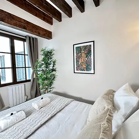 Le Marais Apartment *